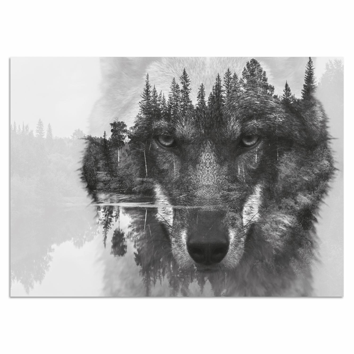 Home affaire Acrylglasbild »Wolf« von home affaire