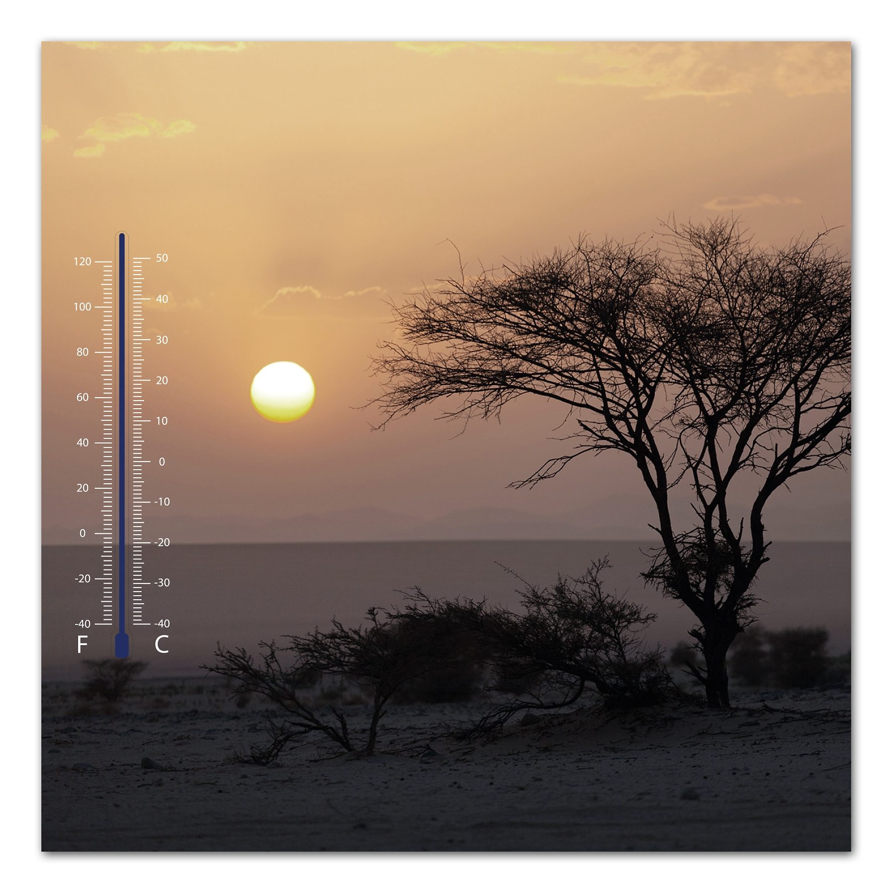 Home affaire Bild »Meer bei Sonnenuntergang«, 30/30 cm von home affaire