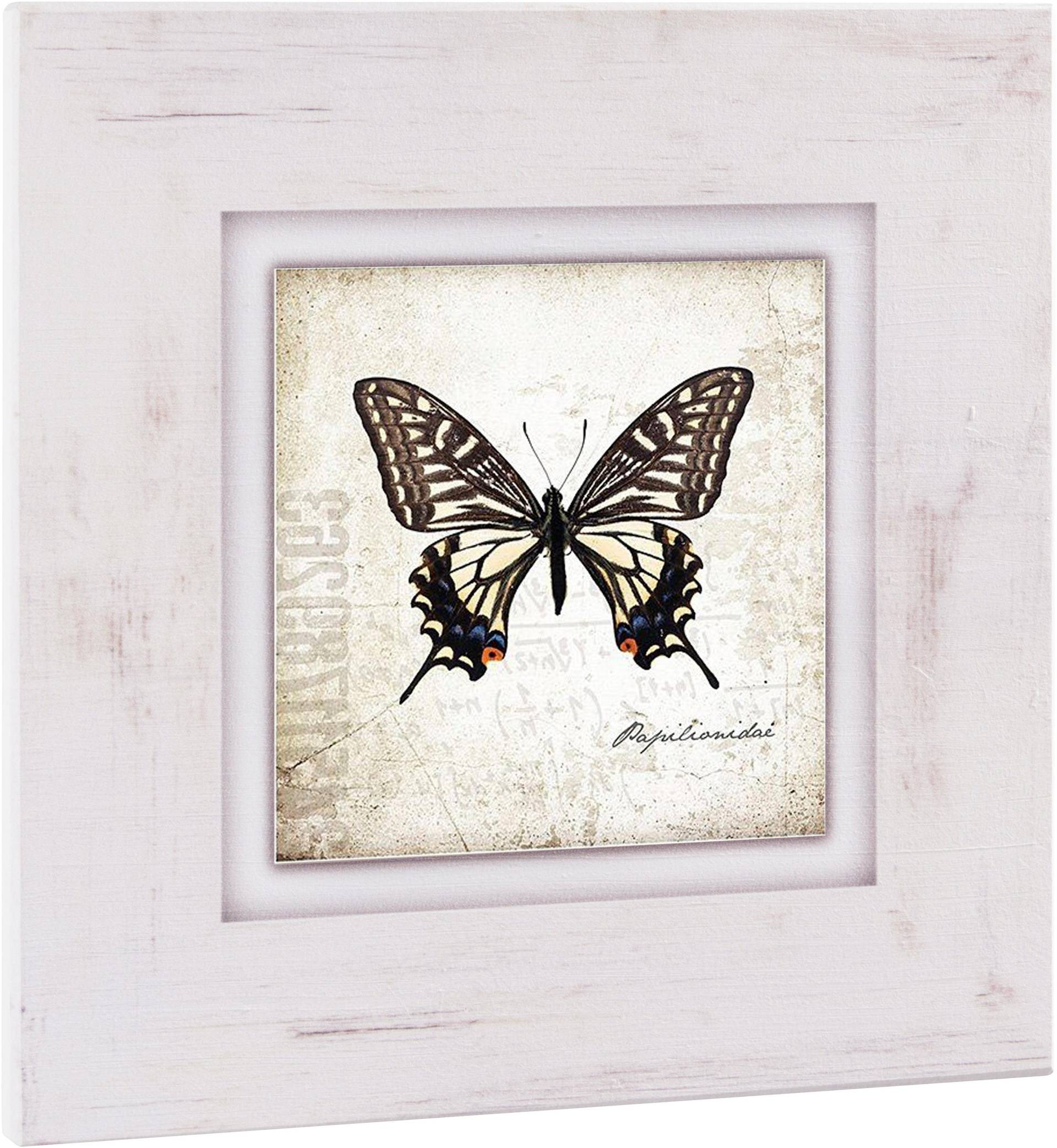 Home affaire Holzbild »Brauner Schmetterling« von home affaire