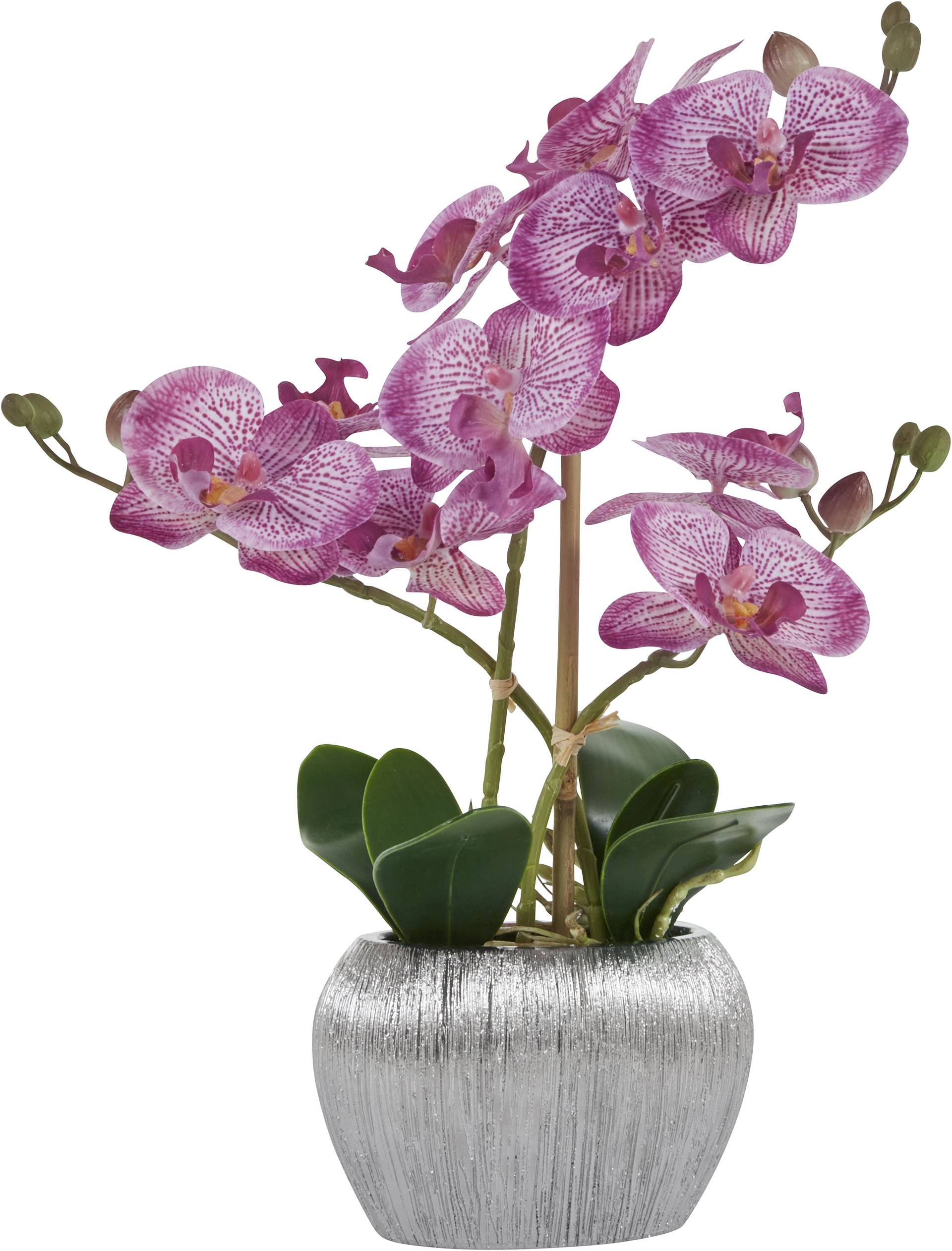 Home affaire Kunstpflanze »Orchidee« von home affaire