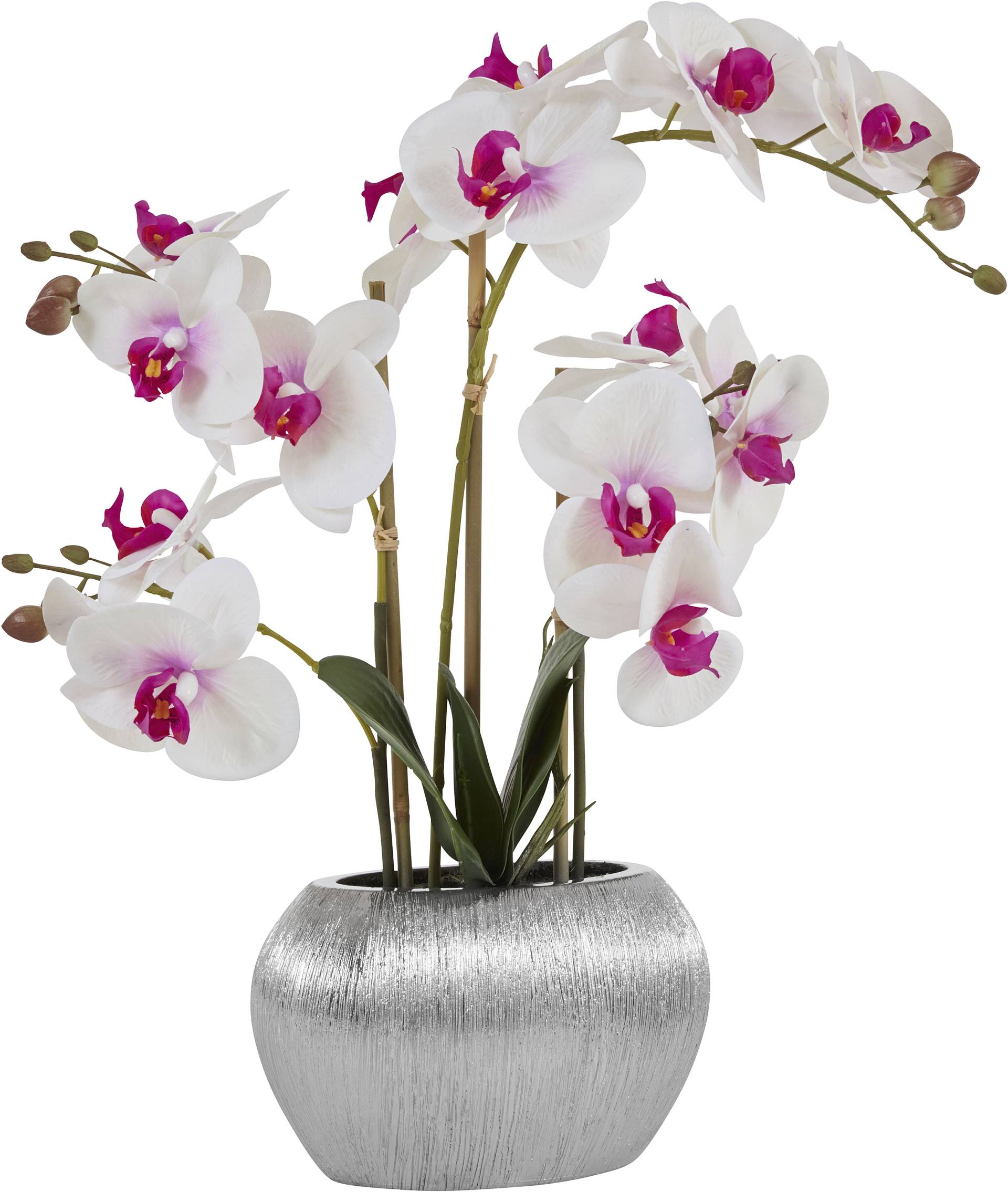 Home affaire Kunstpflanze »Orchidee« von home affaire