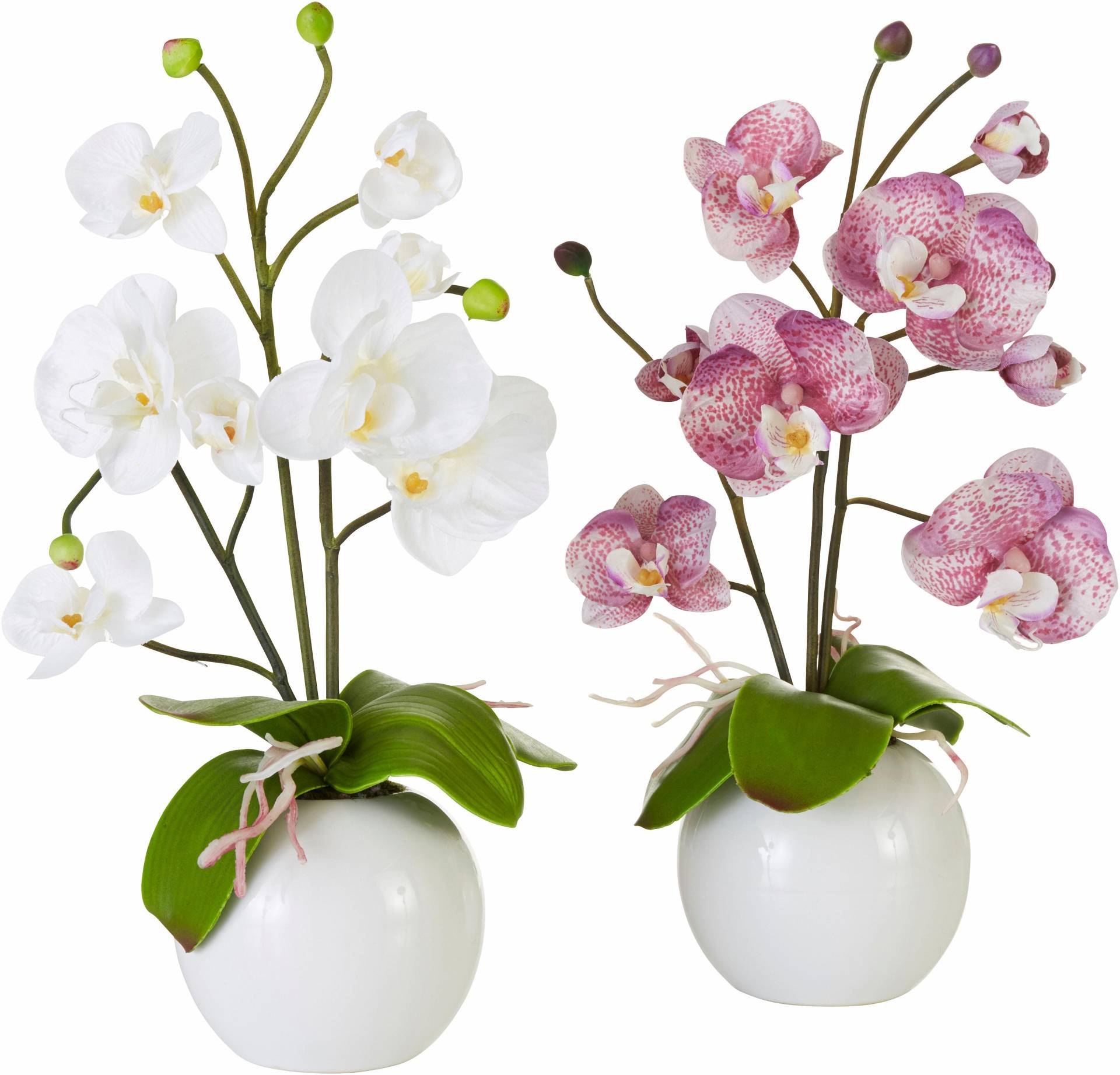 I.GE.A. Kunstpflanze »Orchidee« von I.GE.A.