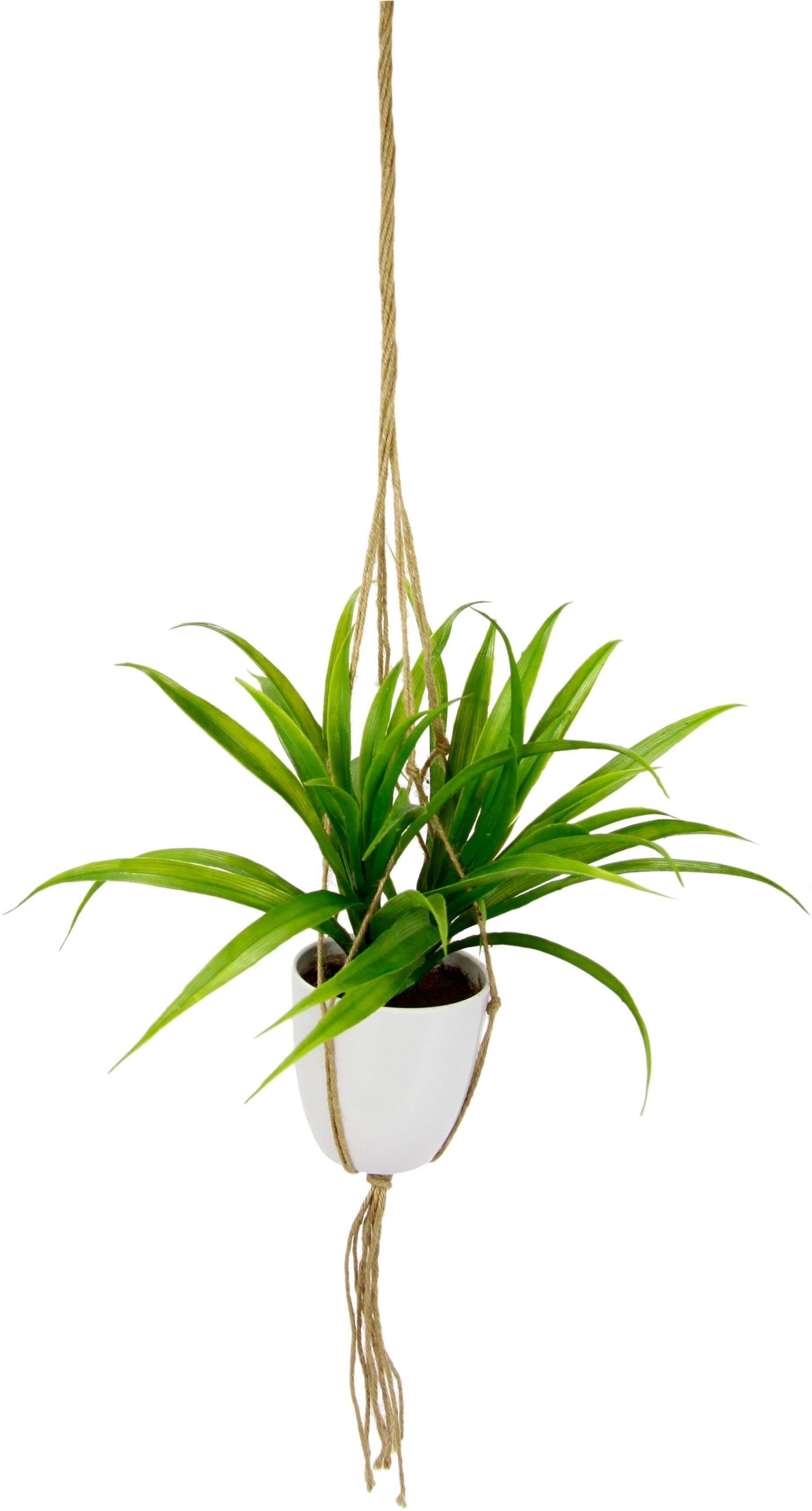 I.GE.A. Kunstpflanze »Dracena« von I.GE.A.