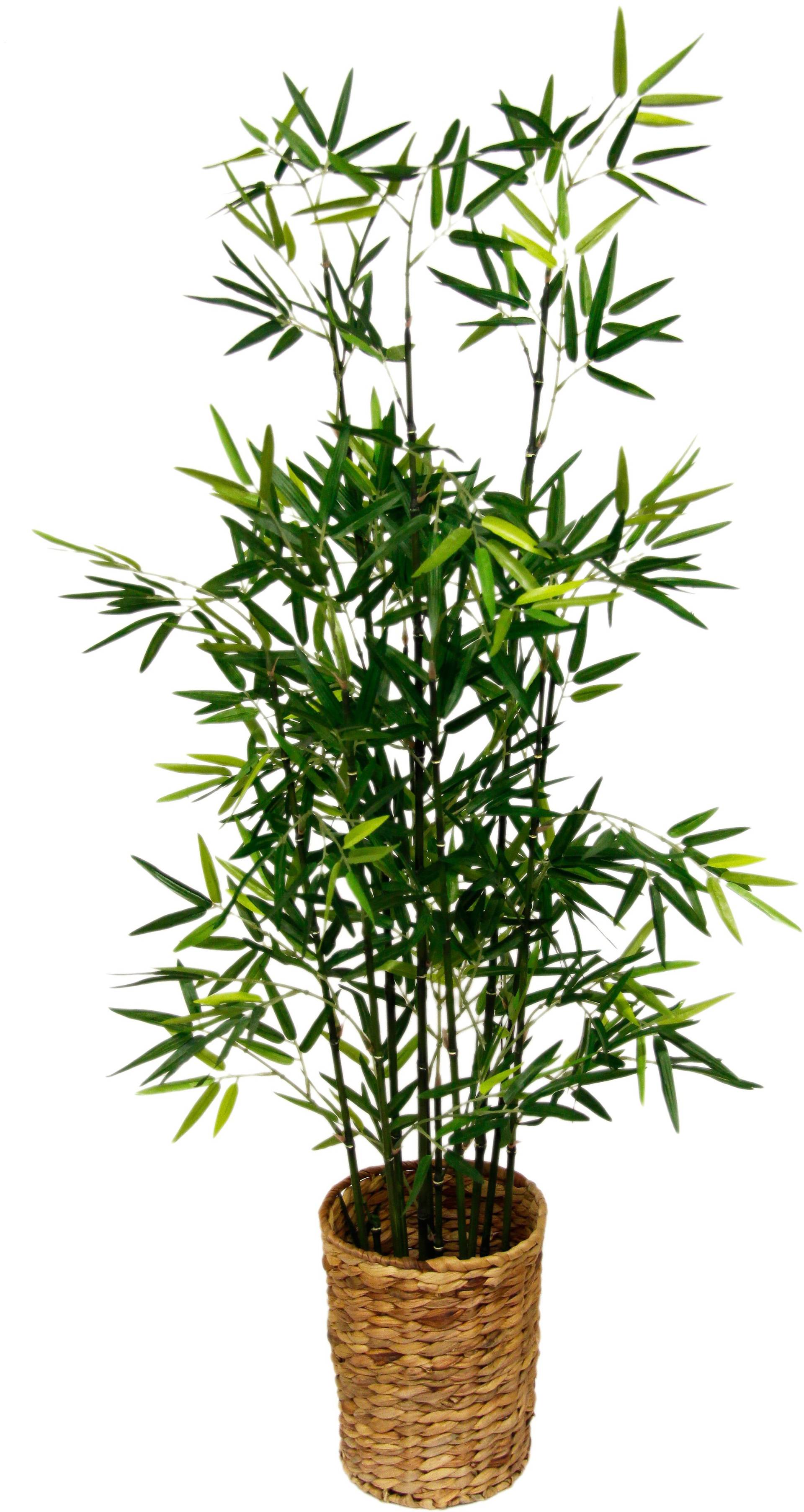 I.GE.A. Kunstpflanze »Bambus« von I.GE.A.