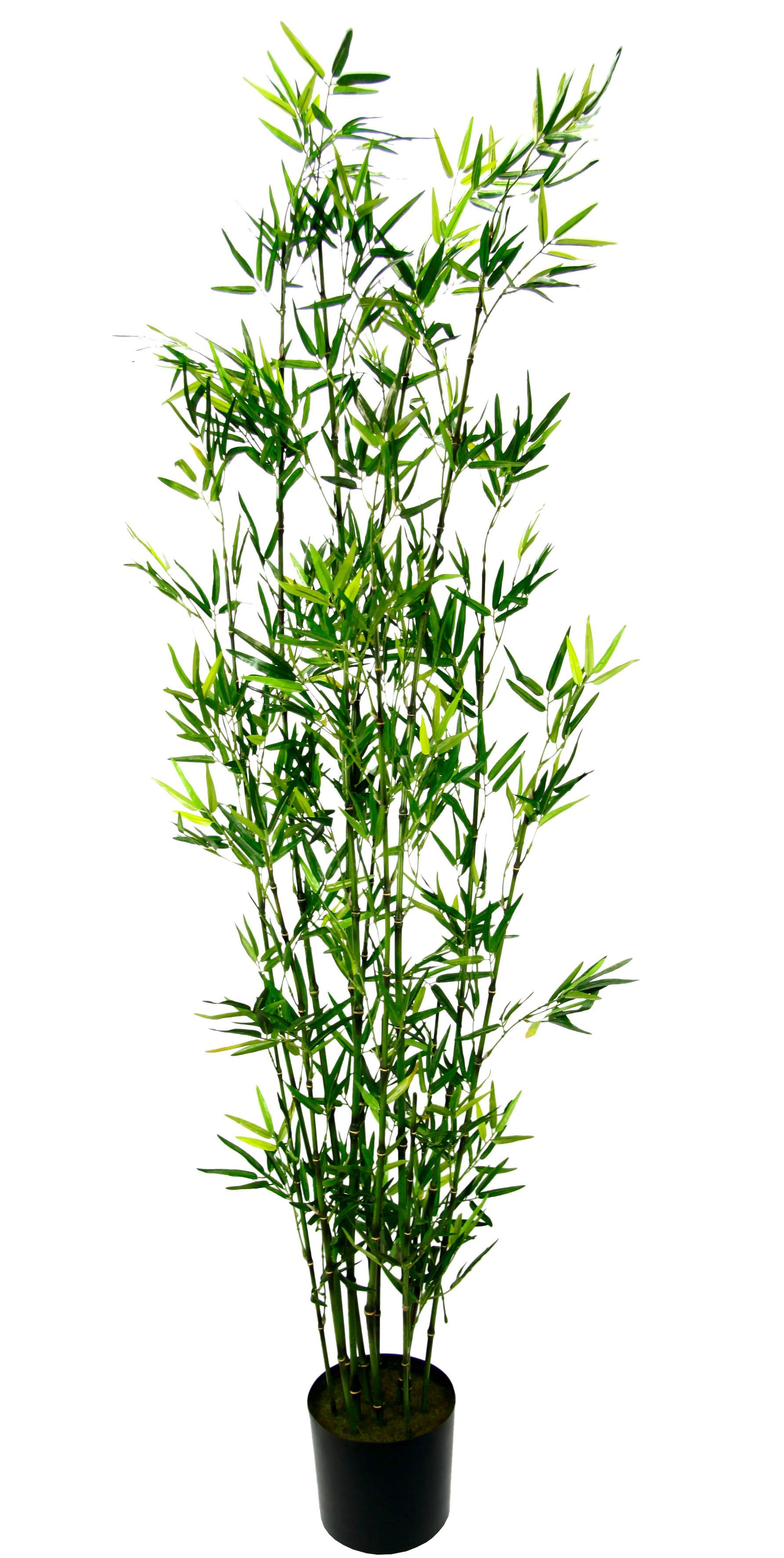I.GE.A. Kunstpflanze »Bambus im Topf« von I.GE.A.