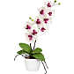 Kunstpflanze Orchidee