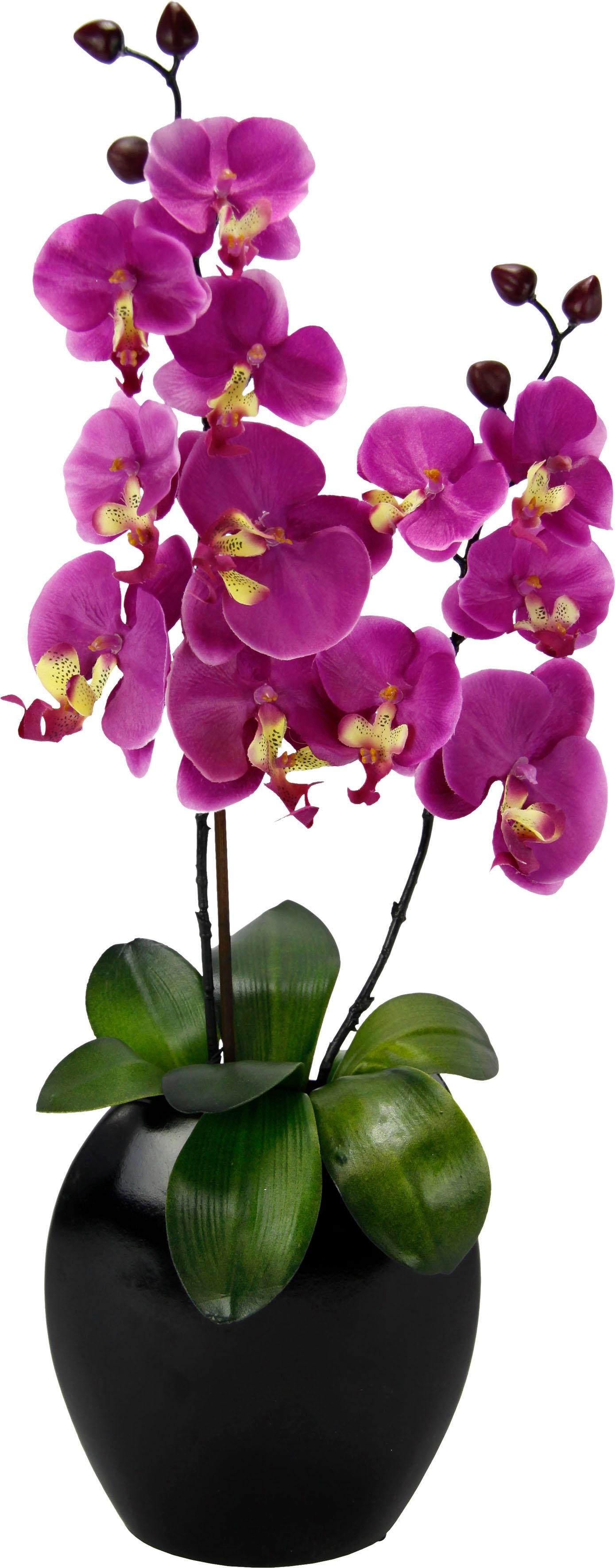 I.GE.A. Kunstpflanze »Phalaenopsis in Vase« von I.GE.A.