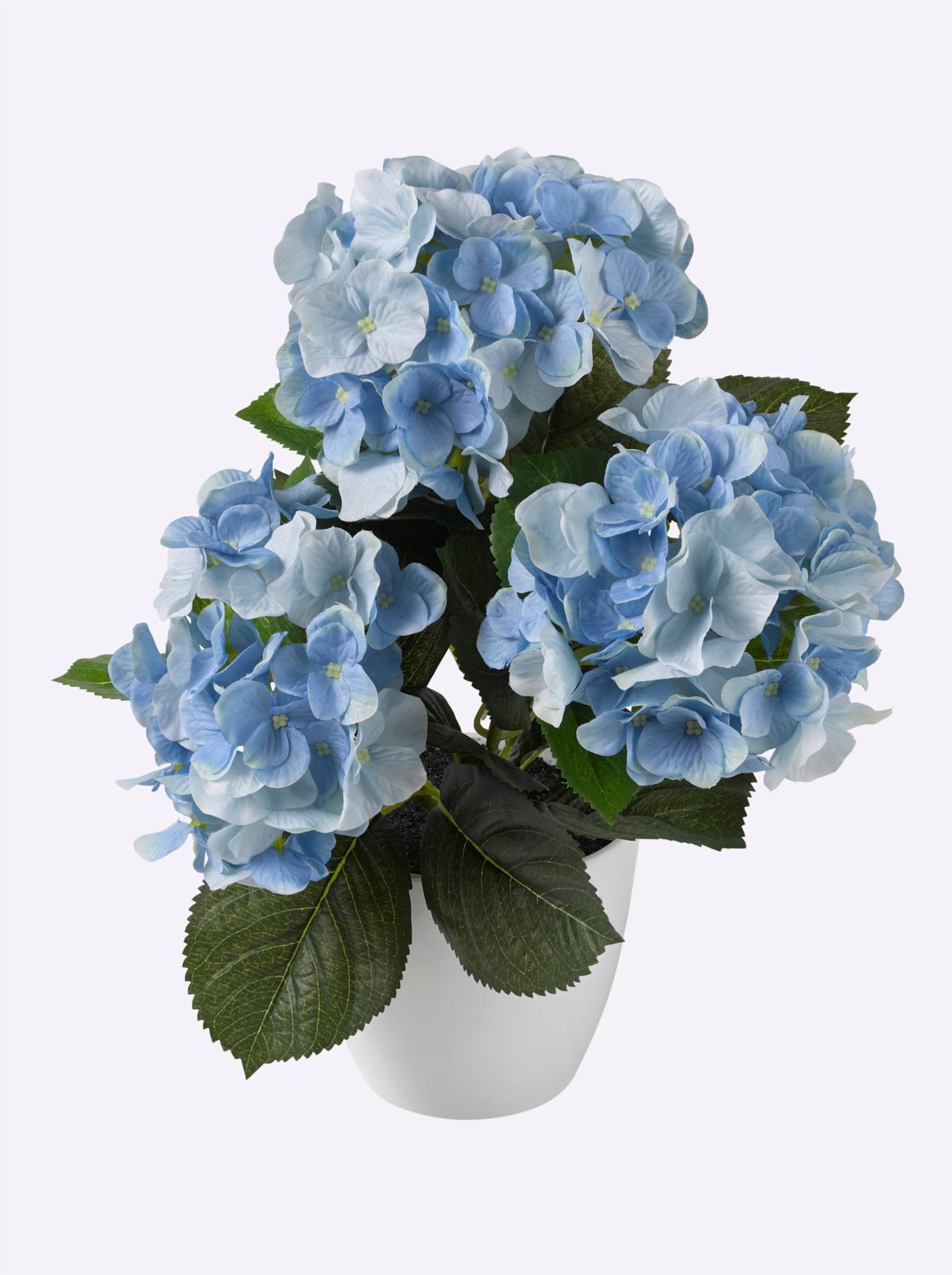 Kunstpflanze in blau von Gasper