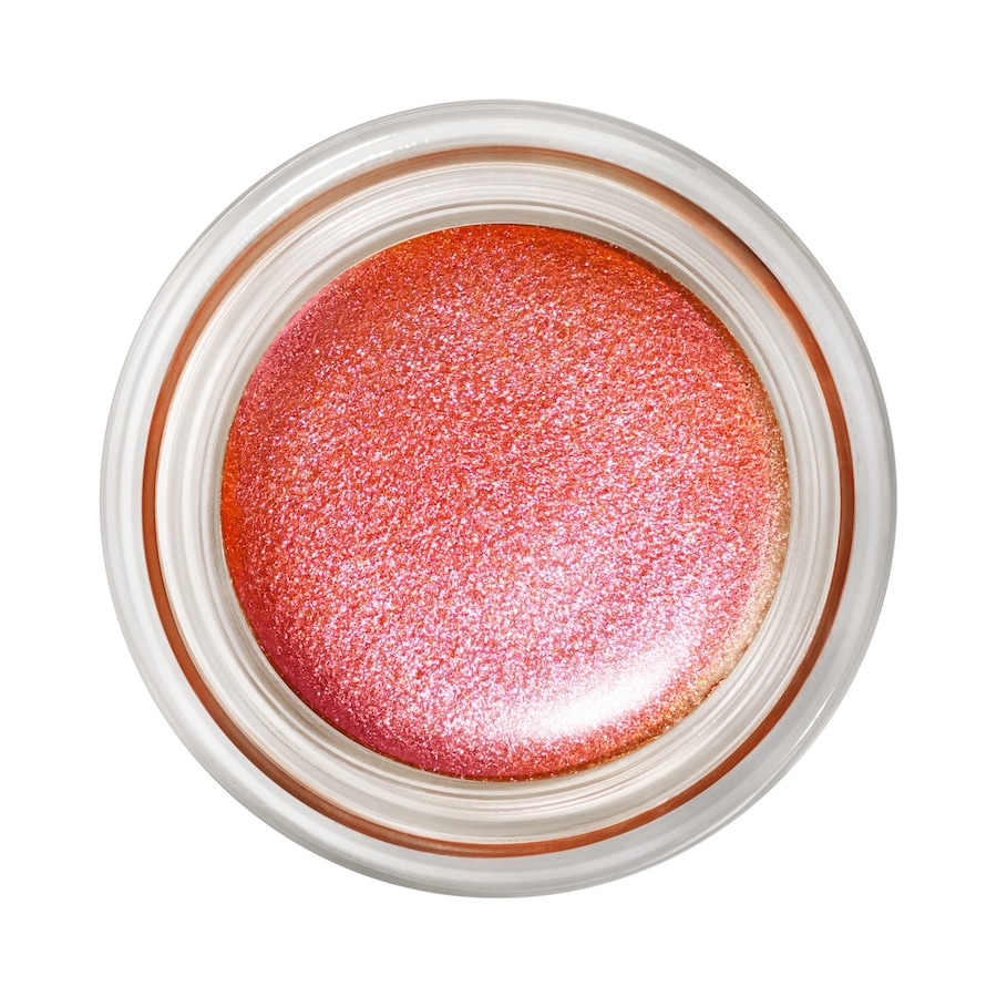 MAC  MAC Pro Longwear Paint Pot lidschatten 5.0 g von MAC