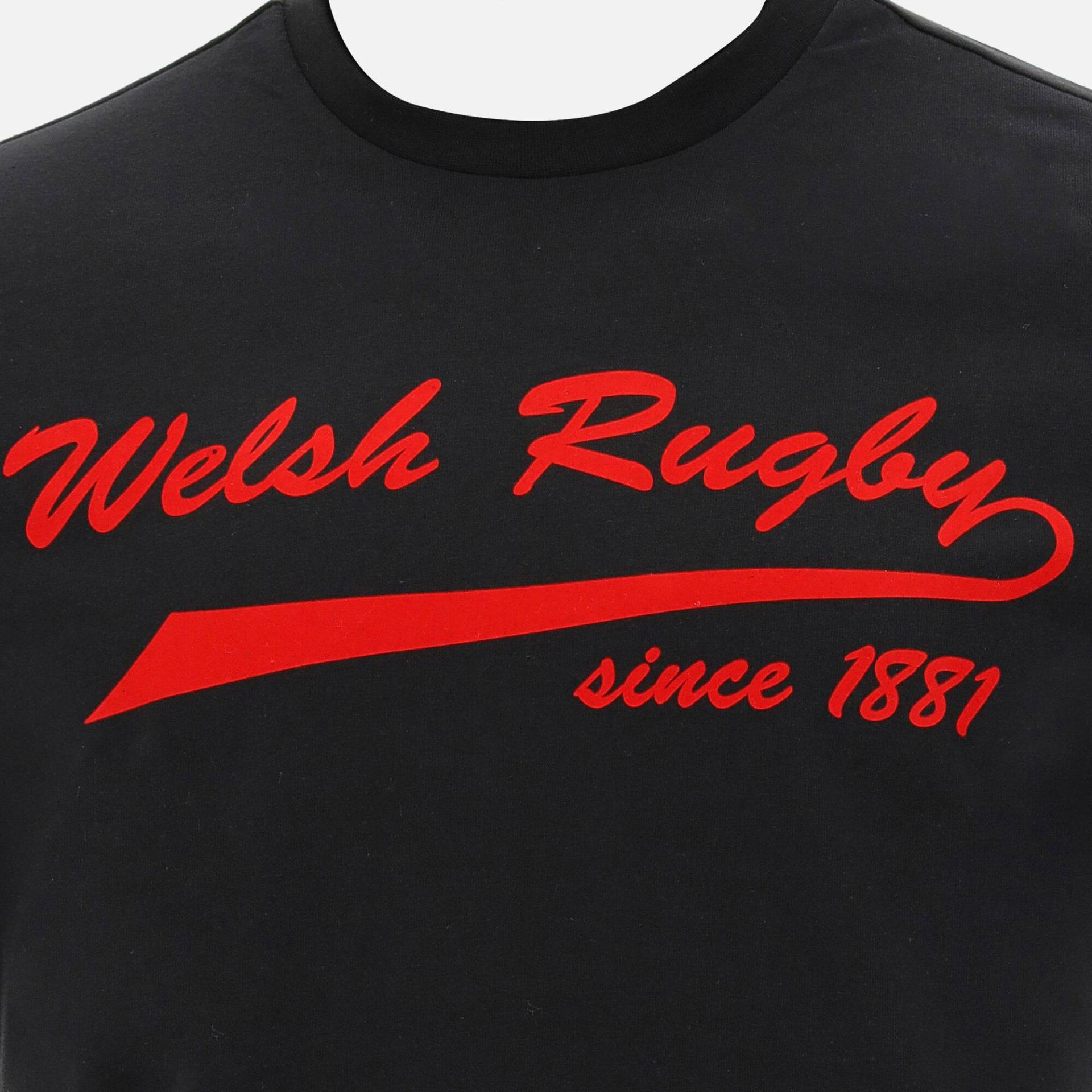 Baumwoll-t-shirt Pays De Galles Rugby 202021 Herren  M von macron