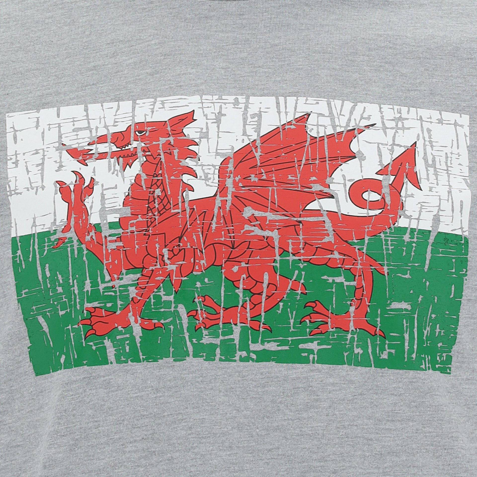Baumwoll-t-shirt Pays De Galles Rugby Xv 202021 Herren  S von macron