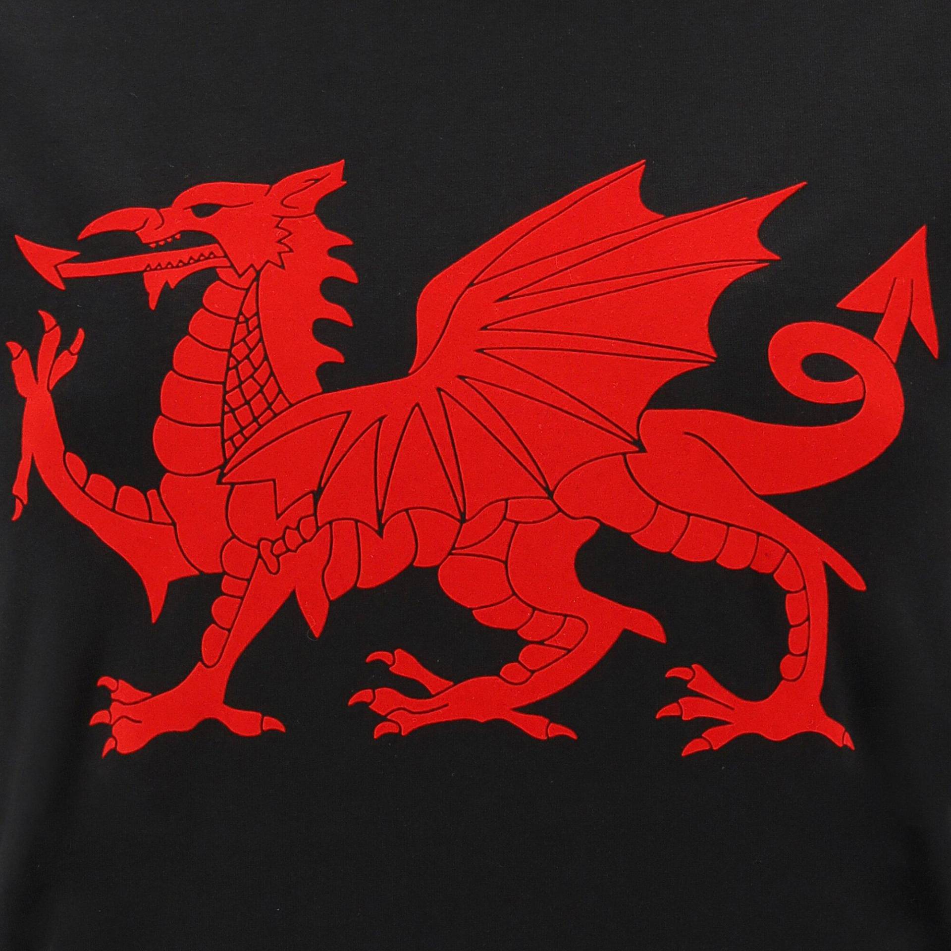 -t-shirt Pays De Galles Rugby Xv 202021 Damen  XS von macron