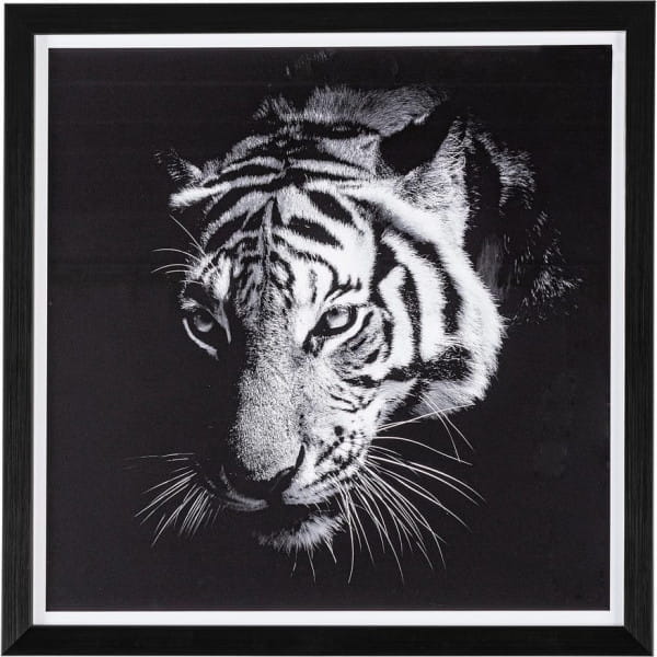 Bild Evidence Tiger 43x43 von mutoni lifestyle