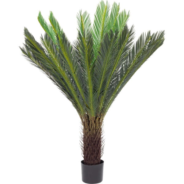 Deko-Palme Cycas Höhe 120 von mutoni lifestyle