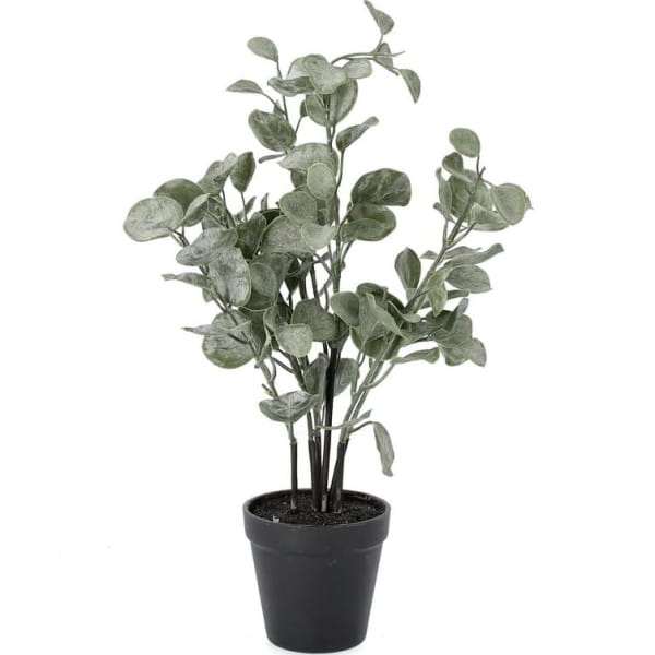 Deko Pflanze Eukaliptus grün 40 von mutoni lifestyle