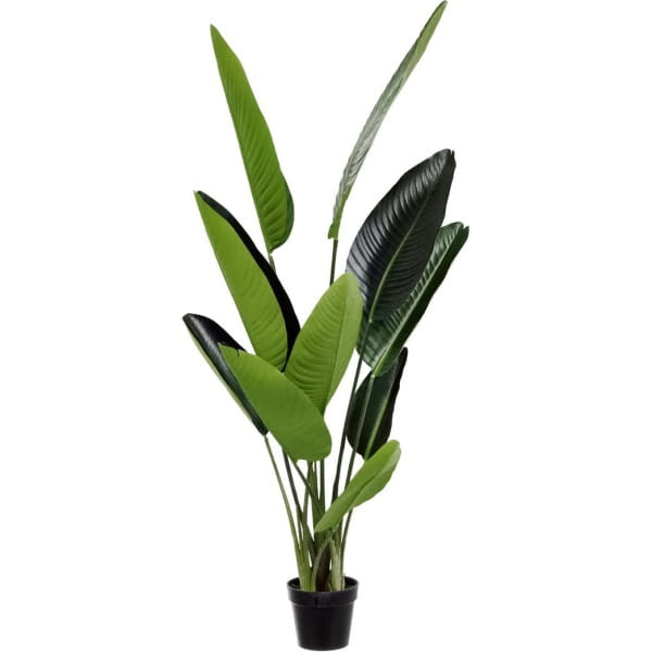 Deko Pflanze Strelitzia grün 150 von mutoni lifestyle