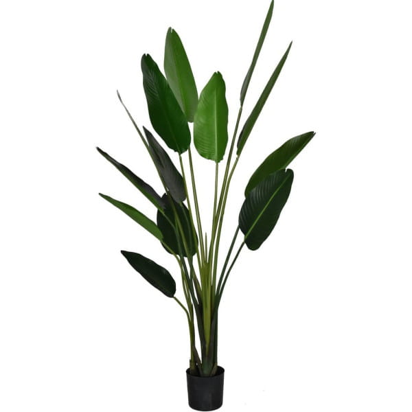 Deko Pflanze Strelitzia grün 185 von mutoni lifestyle