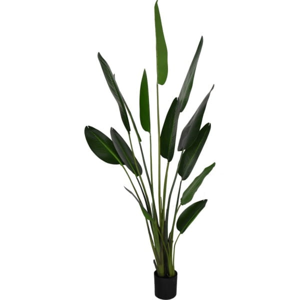 Deko Pflanze Strelitzia grün 235 von mutoni lifestyle