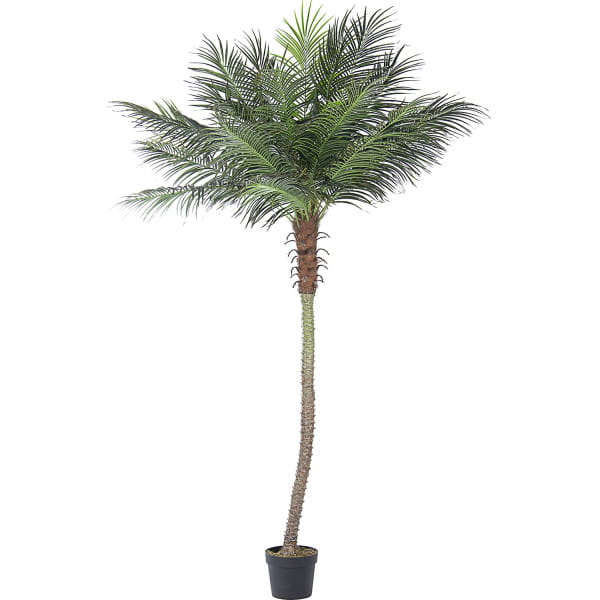 Palmenpflanze mit Vase 21 Blätter von mutoni lifestyle