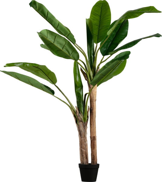 Deko Pflanze Bananenstaude 138cm von mutoni living