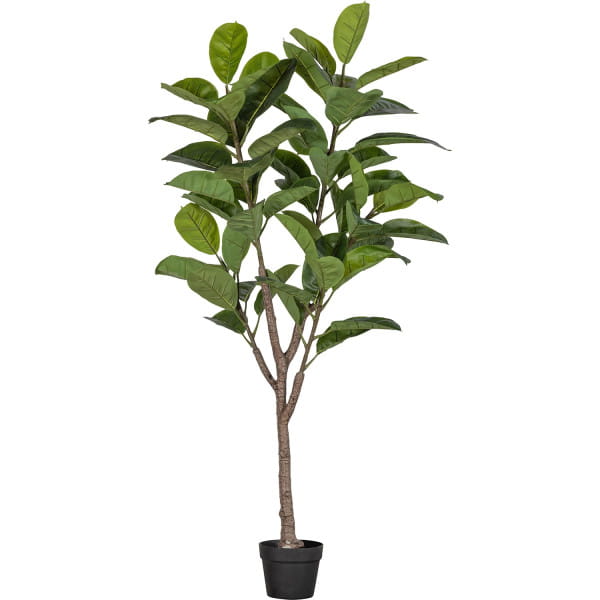 Kunstpflanze Rubberboom grün 135 von mutoni living