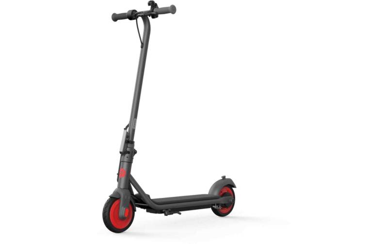 ninebot by Segway E-Scooter »Zing C20 G« von ninebot by Segway
