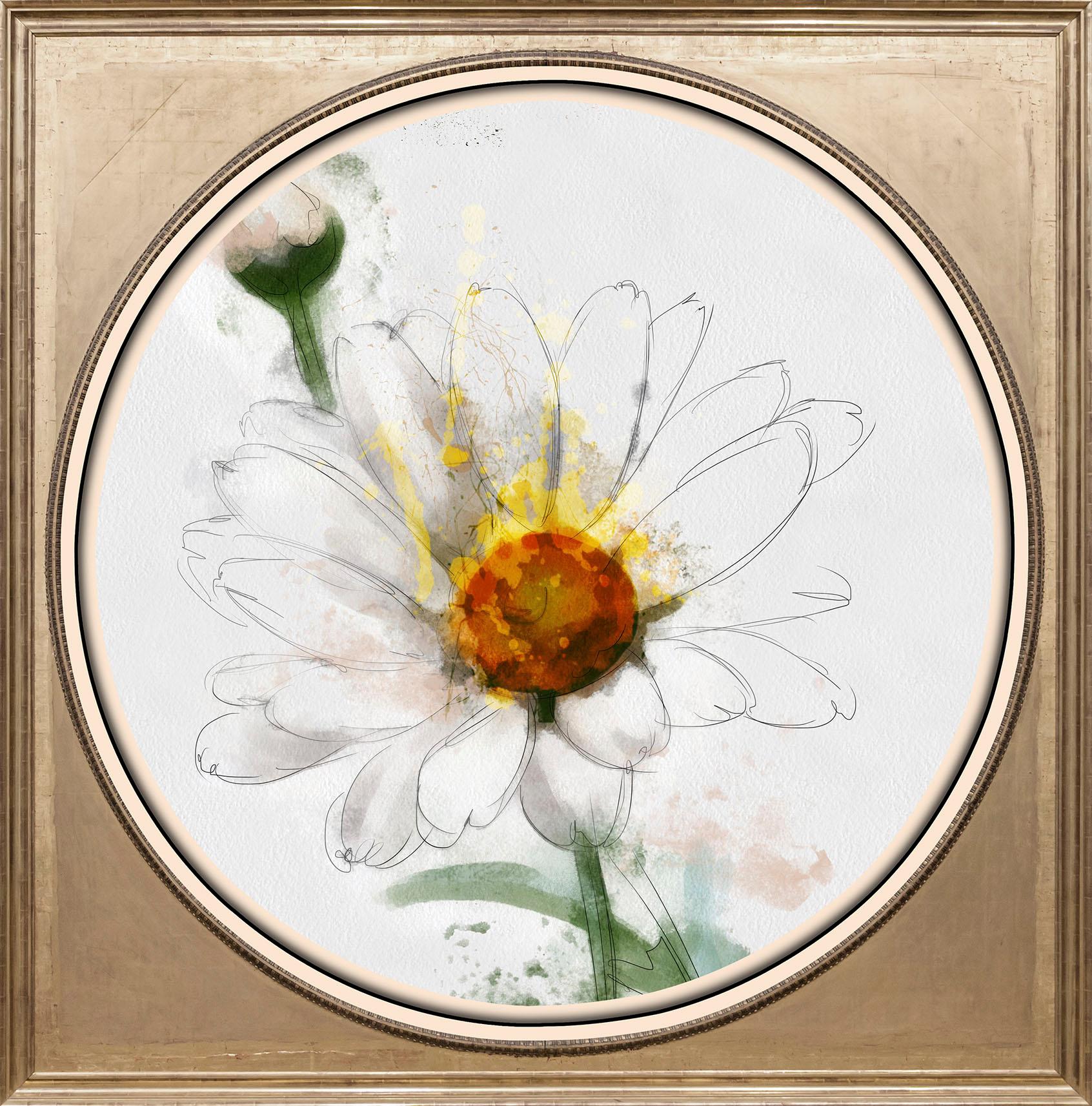 queence Acrylglasbild »Weisse Blüte«, Blumen-Blumenbilder-Kunst-Pflanzen-Pflanzenbilder-Gemälde, Fine Art-Print in Galeriequalität queence Acrylglasbild »Weisse Blüte«, Blumen-Blumenbilder-Kunst-Pflanzen-Pflanzenbilder-Gemälde, Fine Art-Print in Galeriequalität von queence
