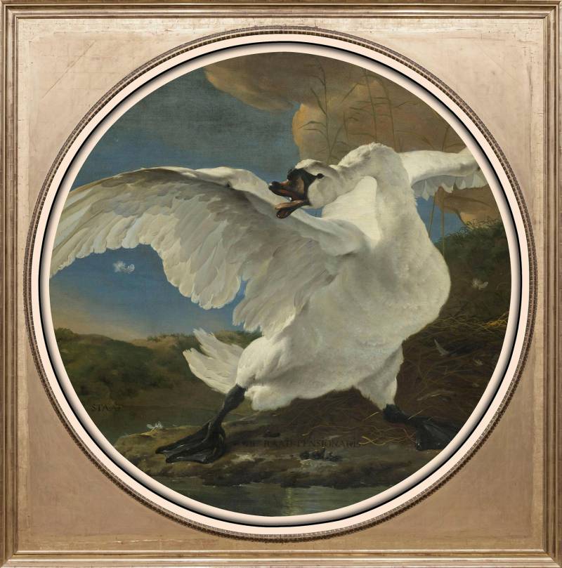 queence Acrylglasbild »Weisser Schwan«, Kunst-Vögel-Vogelbilder-Ente-Enten-Gemälde, Fine Art-Print in Galeriequalität von queence