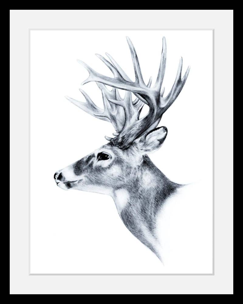 queence Bild »Hirsch«, Hirsch-Tiere-Wildtiere-Hirschbilder-Schwarz-Weiss, HD Premium Poster-Druck inkl. Holzrahmen von queence