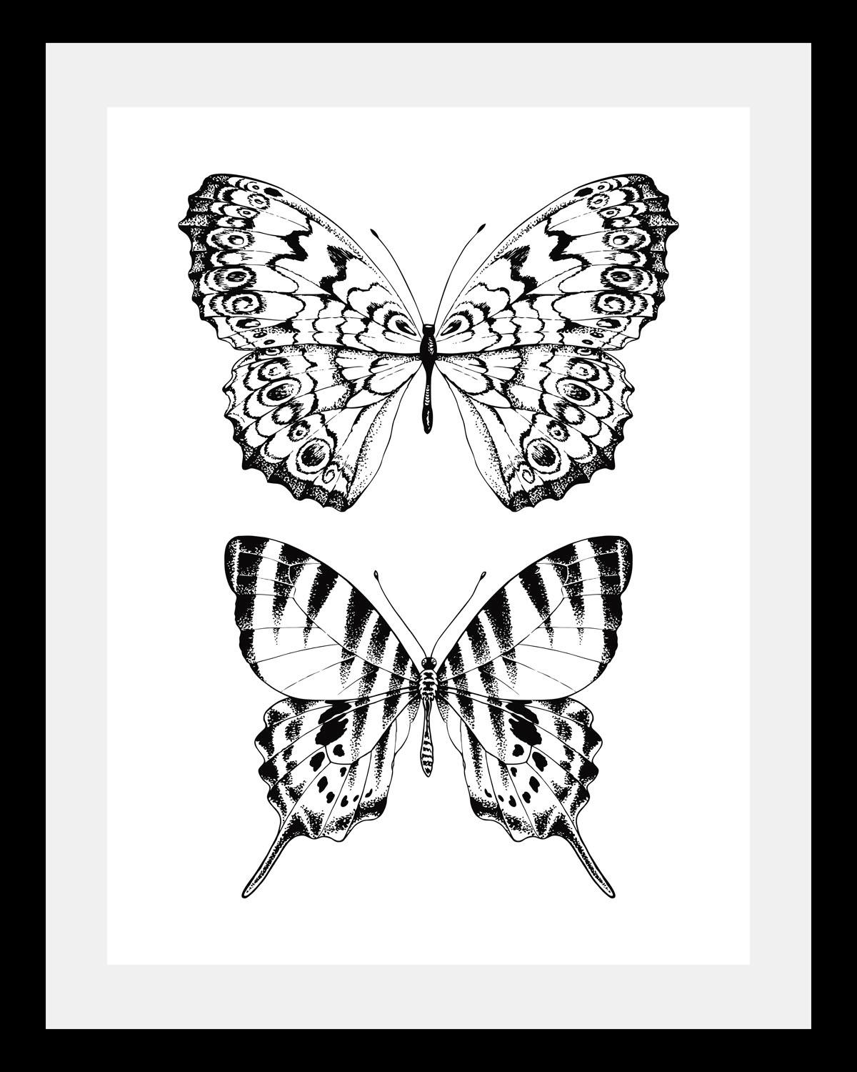 queence Bild »Schmetterlinge« von queence