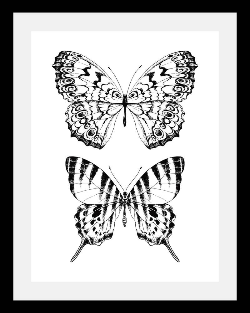 queence Bild »Schmetterlinge«, Tiere-Schwarz-Weiss-Kunst-Insekten-Schmetterlinge, HD Premium Poster-Druck inkl. Holzrahmen von queence