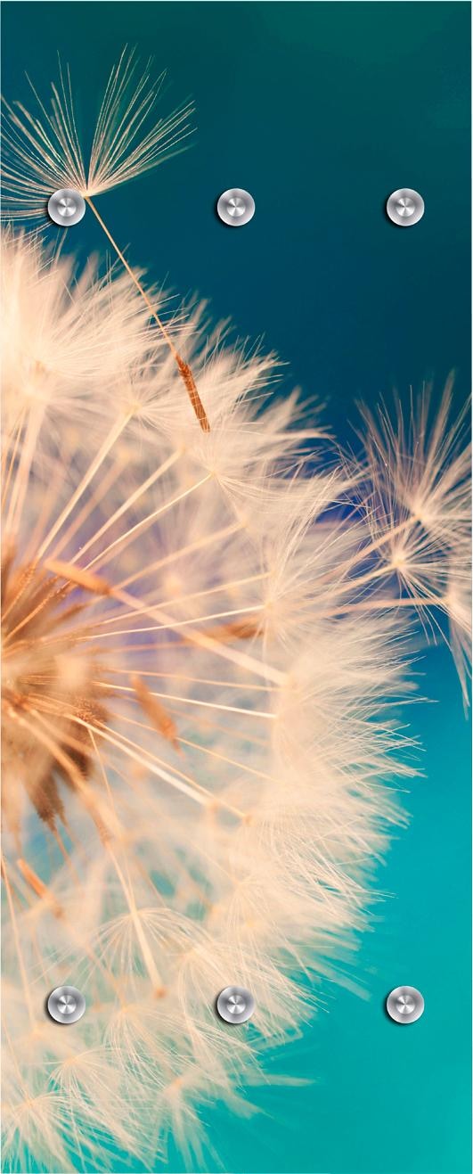 queence Garderobenleiste »Pusteblume in gross« von queence