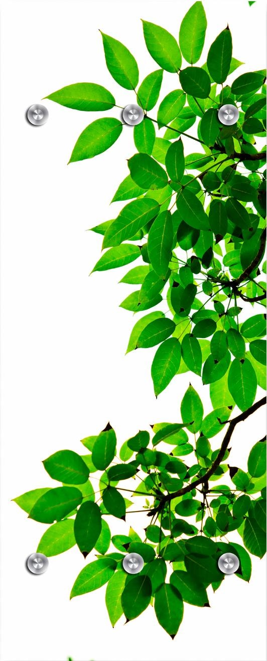 queence Garderobenleiste »Zweige mit Blättern« von queence