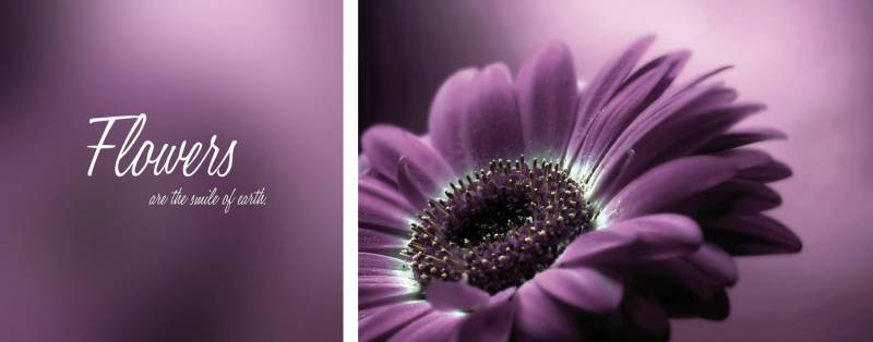queence Leinwandbild »Flower«, Blumen-Blumenbilder-Kunst-Modern-Spa-Spa Bilder-Sprüche-Sprüche & Texte-Schriftzug-Schriftzüge, (Set), Premium-Leinwandstoff, Handarbeit aus Deutschland, Spruch, 2er Set von queence