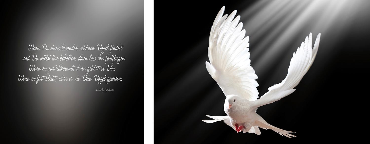 queence Leinwandbild »Friedenstaube«, Vogelbilder-Vögel-Kunst-Modern-Spa-Spa Bilder-Sprüche-Sprüche & Texte-Schriftzug-Schriftzüge, (Set), Premium-Leinwandstoff, Handarbeit aus Deutschland, Zitat, 2er Set von queence