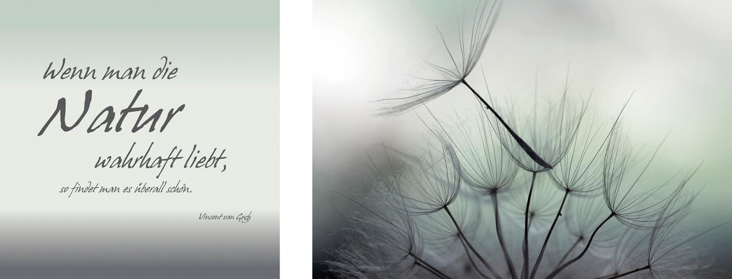 queence Leinwandbild »Natur«, Blumen-Blumenbilder-Kunst-Modern-Spa-Spa Bilder-Sprüche-Sprüche & Texte-Schriftzug-Schriftzüge, (Set), Premium-Leinwandstoff, Handarbeit aus Deutschland, Zitat, 2er Set von queence