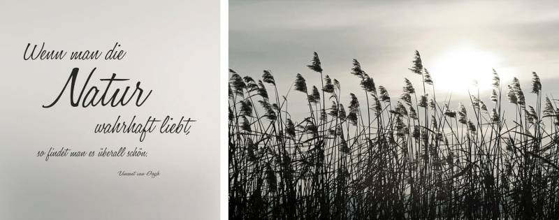 queence Leinwandbild »Natur«, Gräser-Blumen-Blumenbilder-Kunst-Modern-Spa-Spa Bilder-Sprüche-Sprüche & Texte-Schriftzug-Schriftzüge, (Set), Premium-Leinwandstoff, Handarbeit aus Deutschland, Zitat, 2er Set von queence
