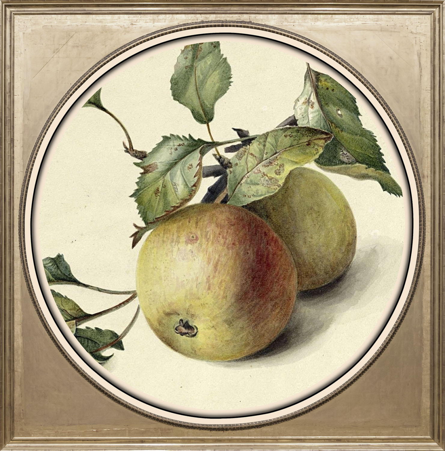 queence Acrylglasbild »Apfel« von queence