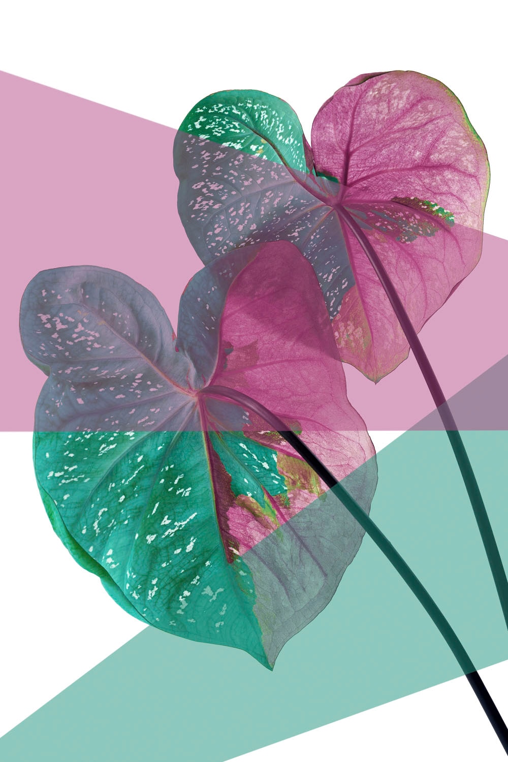 queence Acrylglasbild »Blätter« von queence