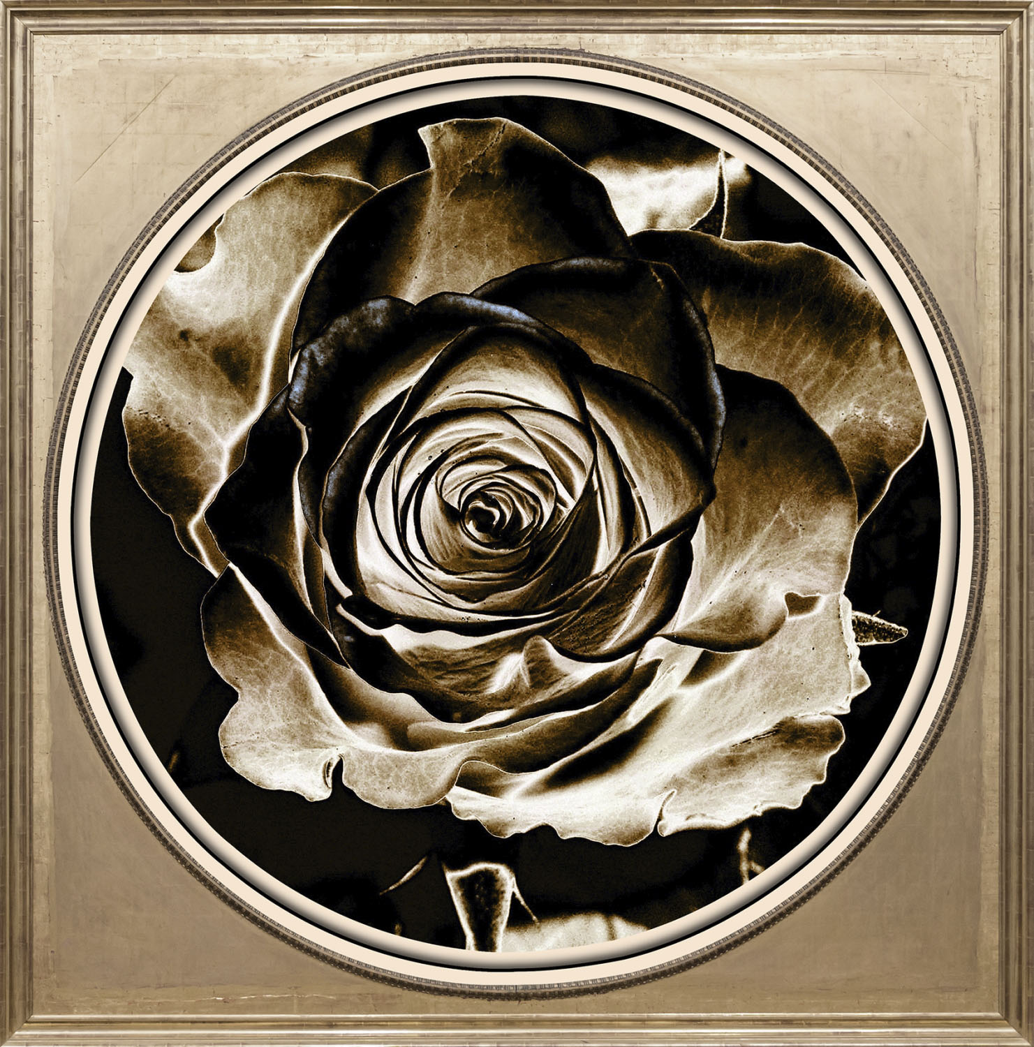 queence Acrylglasbild »Rose« von queence