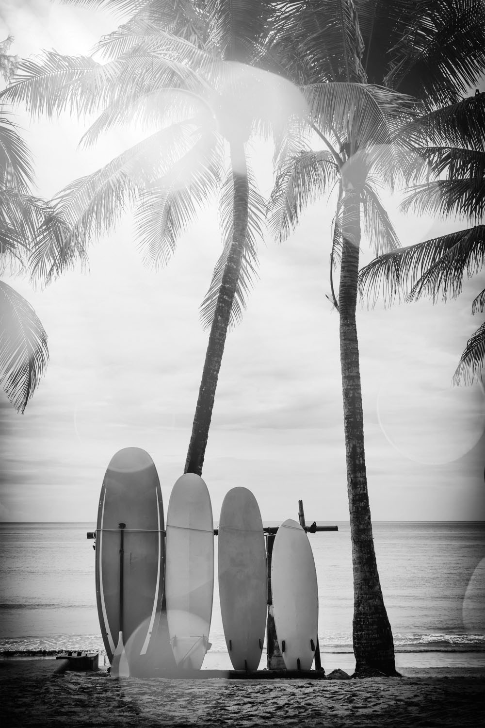 queence Acrylglasbild »Surfboards«, Kunst-Schwarz-Weiss-Strand-Palmen-Strandbilder, Fine Art-Print in Galeriequalität queence Acrylglasbild »Surfboards«, Kunst-Schwarz-Weiss-Strand-Palmen-Strandbilder, Fine Art-Print in Galeriequalität von queence