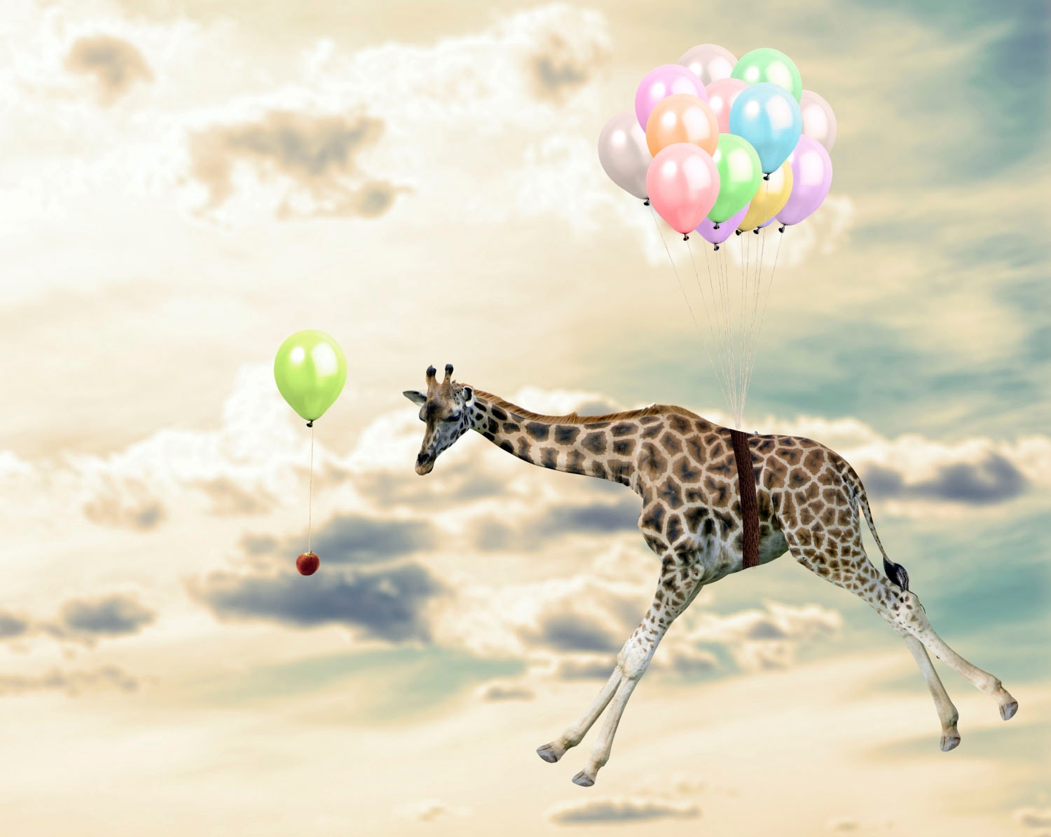 queence Acrylglasbild »fliegende Giraffe« von queence
