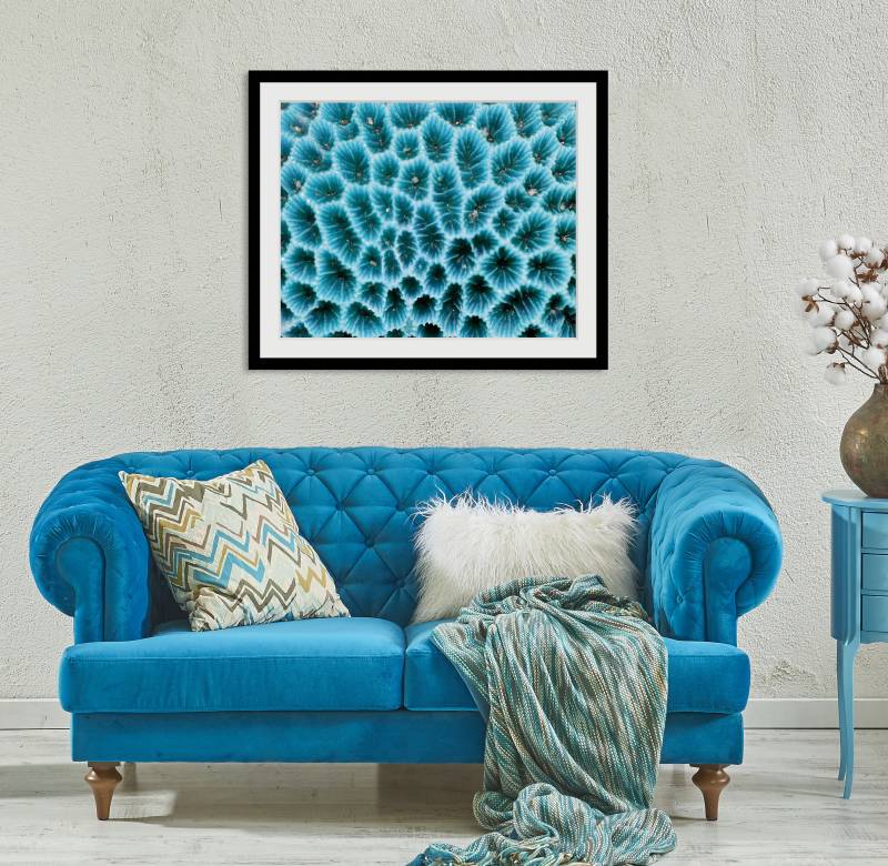 queence Bild »Agata«, Meer-Wassertiere-Kunst, (1 St.), HD Premium Poster-Druck inkl. Holzrahmen von queence