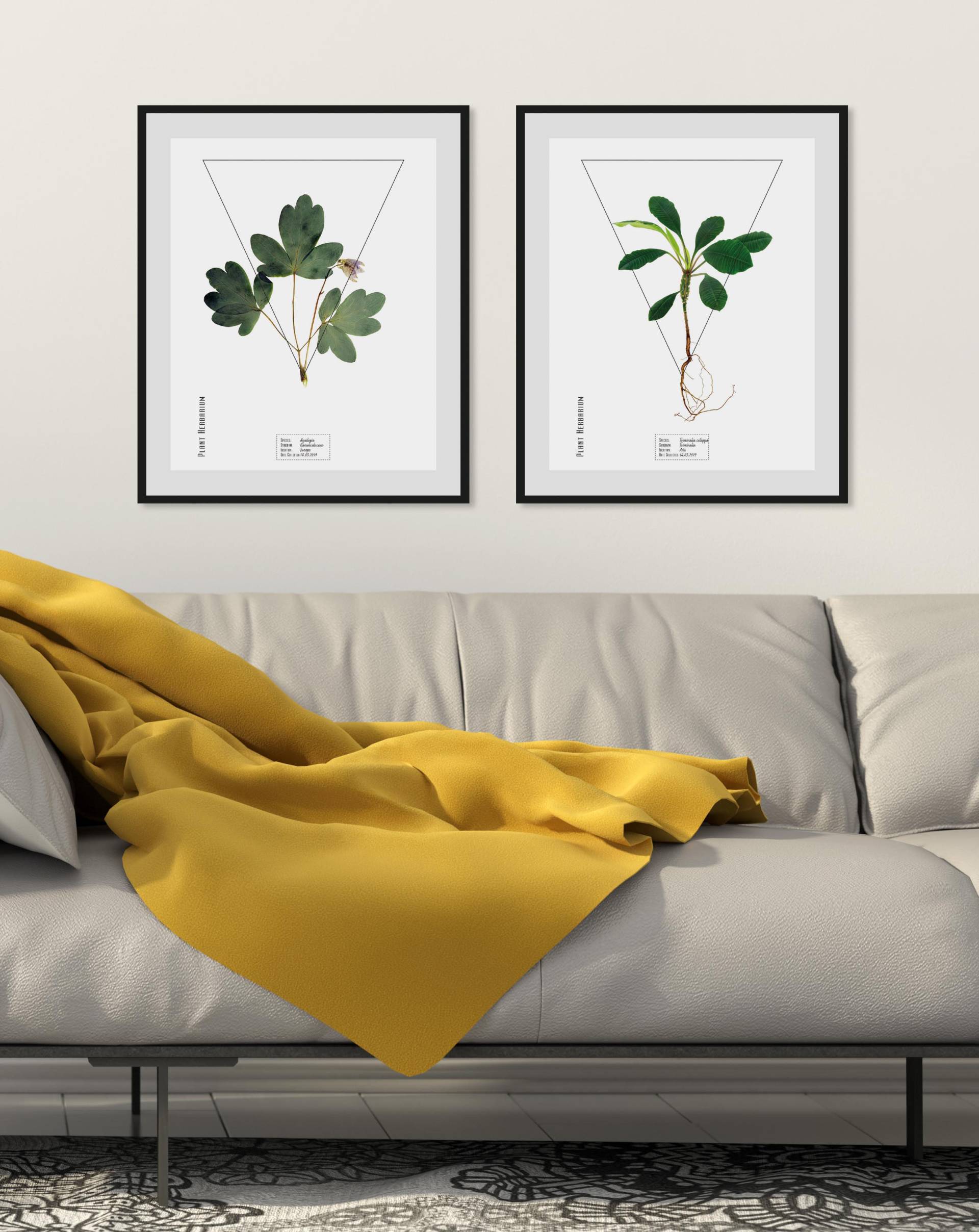 queence Bild »Aquilegia«, Schriftzüge-Pflanzen-Pflanzenbilder, (1 St.), HD Premium Poster-Druck inkl. Holzrahmen von queence