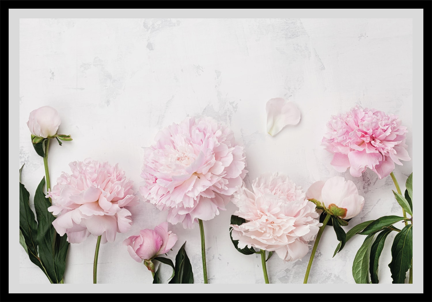 queence Bild »Bella«, Blumen, gerahmt, Rosen von queence