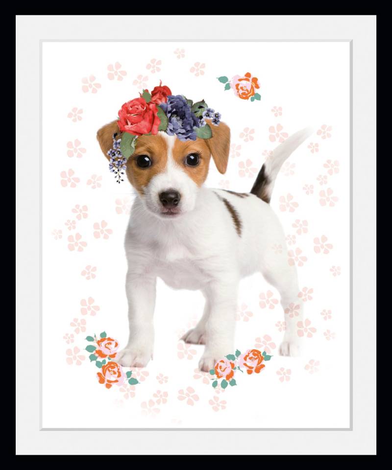queence Bild »Hund mit Blumenkranz«, (1 St.), HD Premium Poster-Druck inkl. Holzrahmen von queence