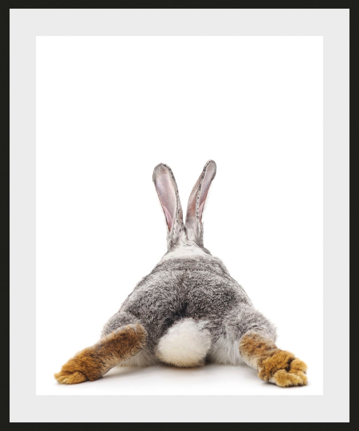 queence Bild »Bunny Tail«, Hase, (1 St.) von queence