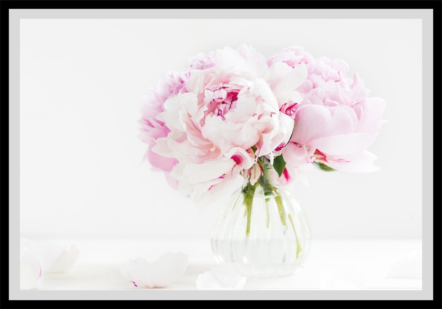 queence Bild »Carina«, Blumen, gerahmt, Rosen von queence