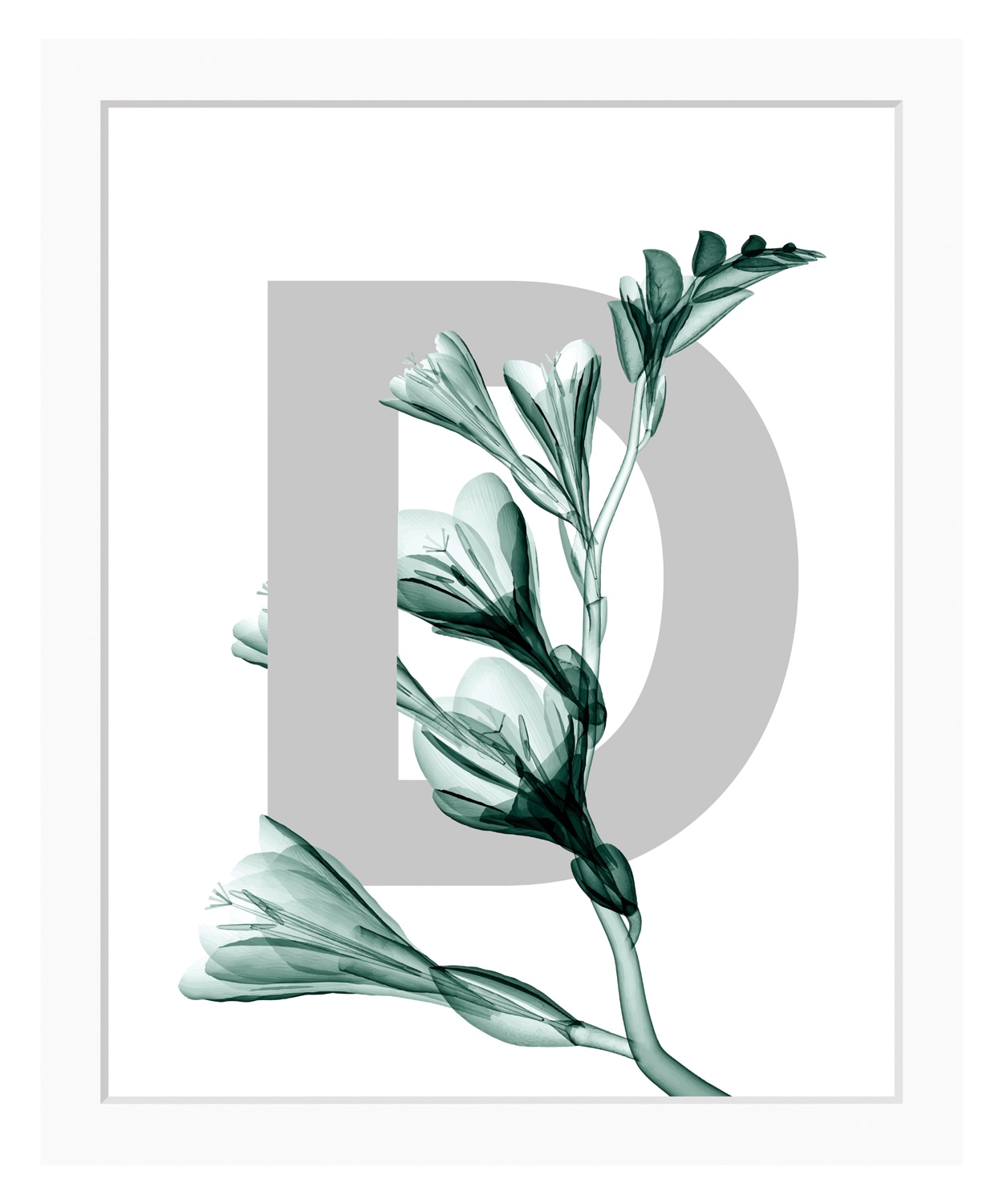 queence Bild »D-Flower«, Buchstaben, Blume, Blätter, gerahmt von queence