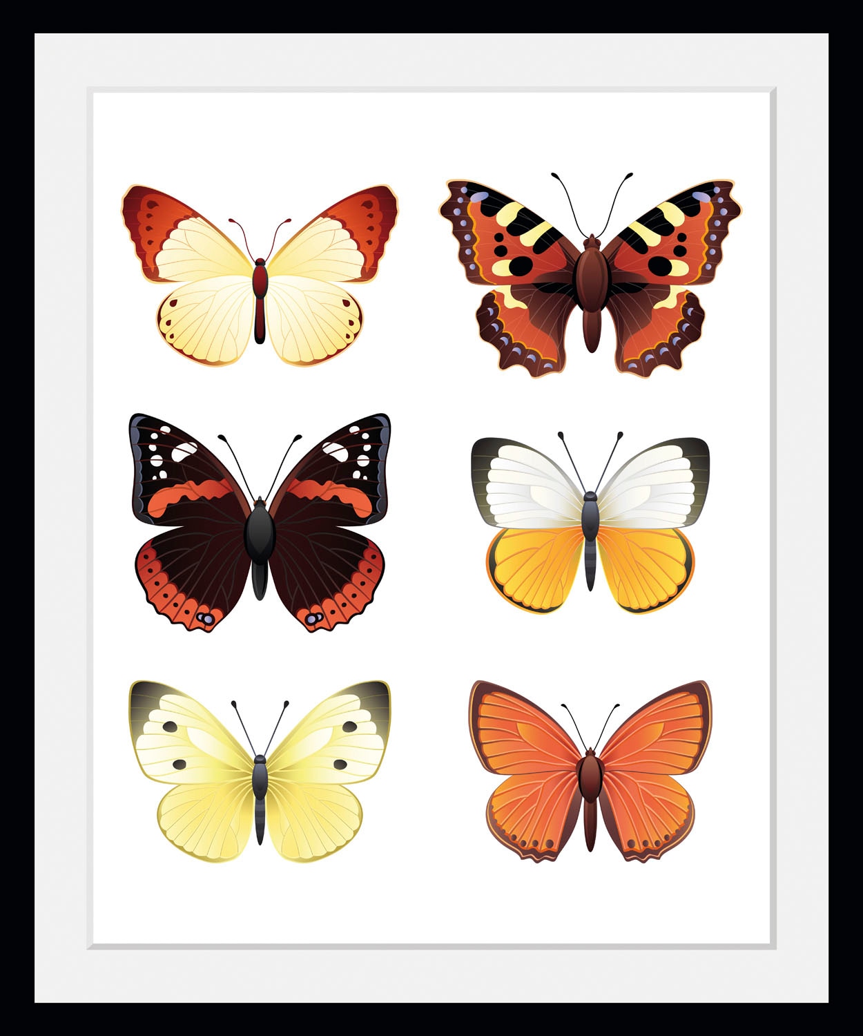 queence Bild »Elina«, Schmetterlinge, (1 St.) von queence